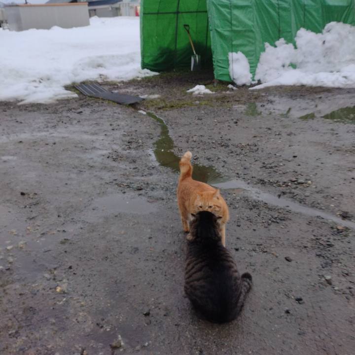 8ac81958 1eb1 4156 8473 c2f34df19d9d 1673736279576