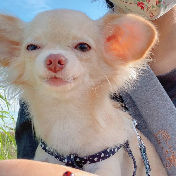 8ac8524d 025f 45c9 9eac 13c1f7f725dd 1602829069657