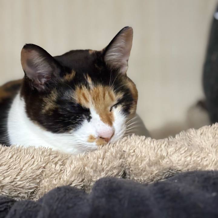 8ac881ed ea52 4789 87d3 3297fc466f78 1770738192067