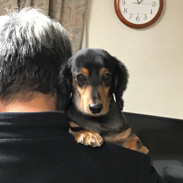 8ac896fb 7f64 4c37 8e90 fc4c33531063 1507934658452