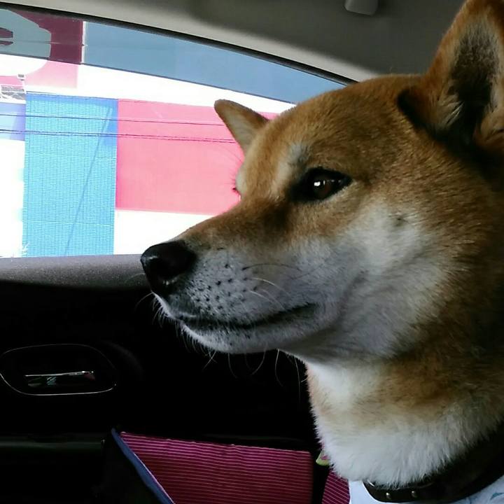 8ac89704 ebae 43b4 97ea 1c2566a41640 1558753156038