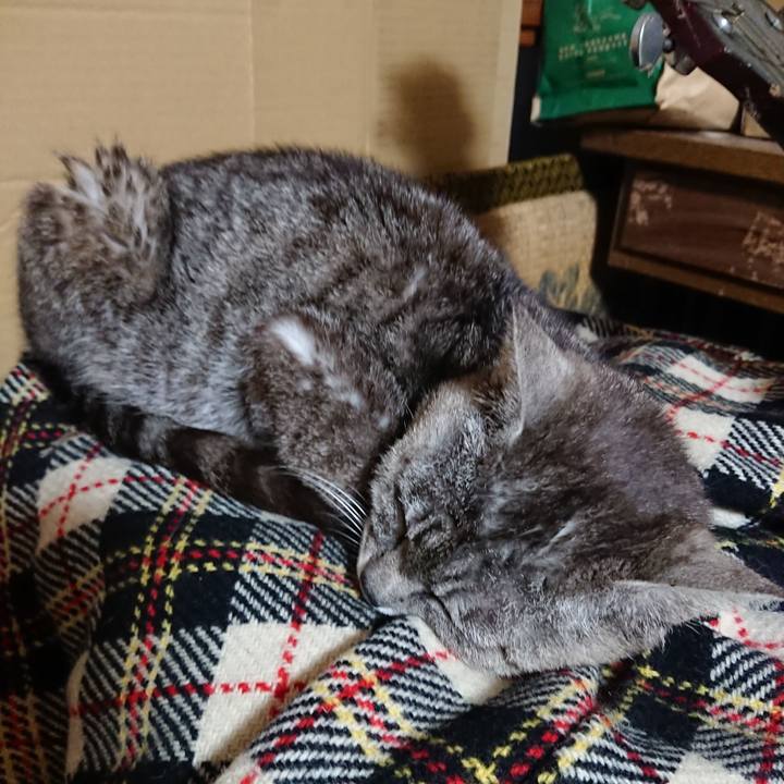 8ac8cafe 9afd 4430 bde7 868baeeb647a 1562581999760