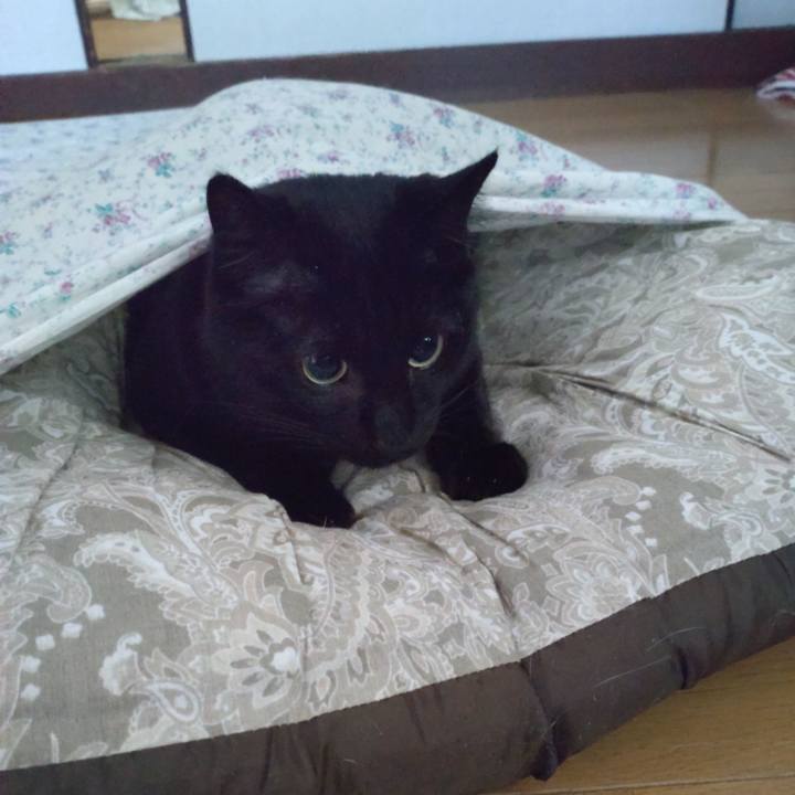 8ac8f677 d4f0 42cb 98b5 b07fa503db84 1651703762792