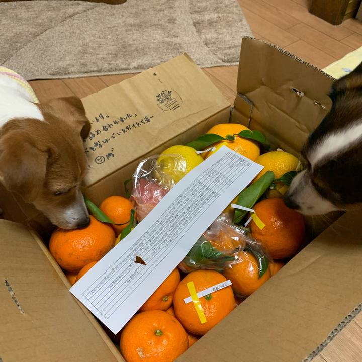 8ac94a19 ad97 4b1a b325 3ad07bd248fd 1580801957200