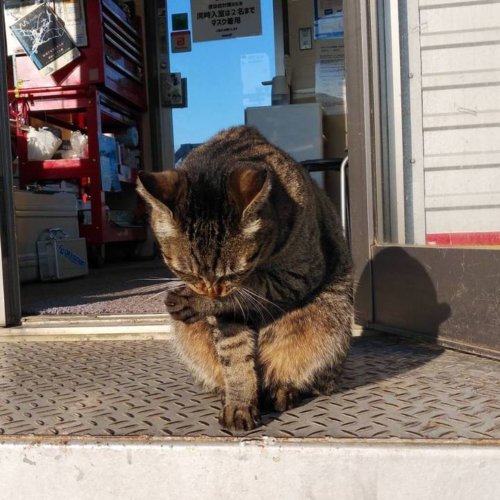 8ac988f2 b329 451b af54 2302e6d45819 1611279217393