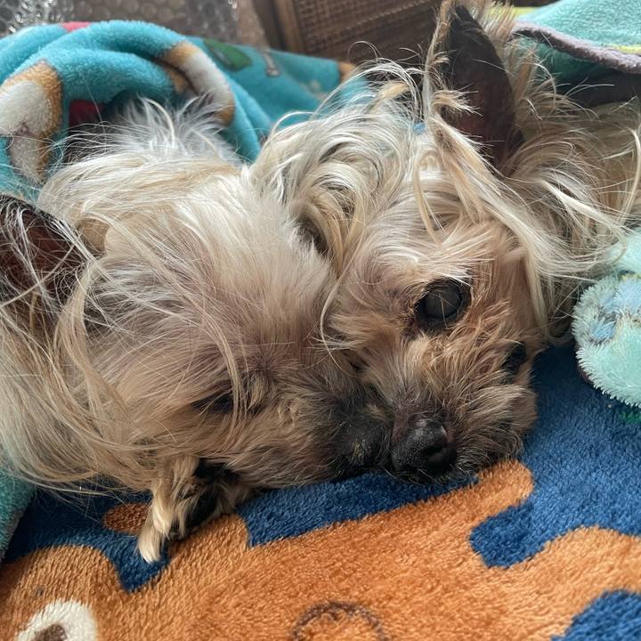 8ac98bc3 d9d3 4824 aaad f93bd443b3e8 1709542366663