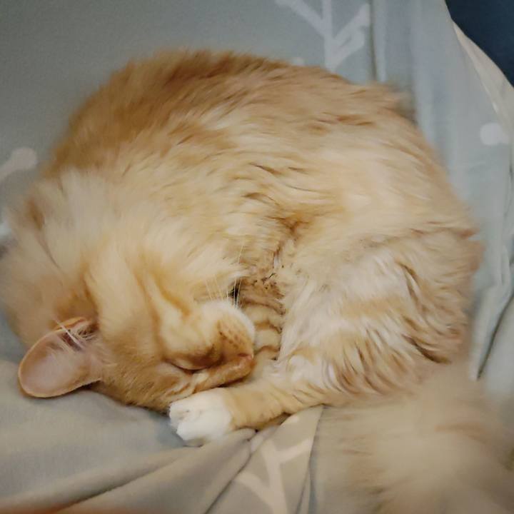 8ac9b6fb a4d8 46d7 a87f 3b24640b8ed3 1670765560469