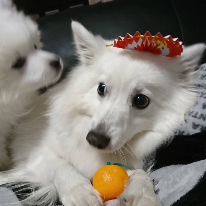 8ac9be57 f264 41c3 af25 794f635f3771 1547117153650