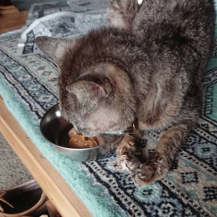 8ac9eb70 ad62 4c23 b8ec b94af7e3c0b8 1598910497345