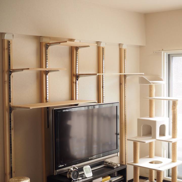 8aca07ee d935 46d3 bc8b 820b54d3a268 1546767416457