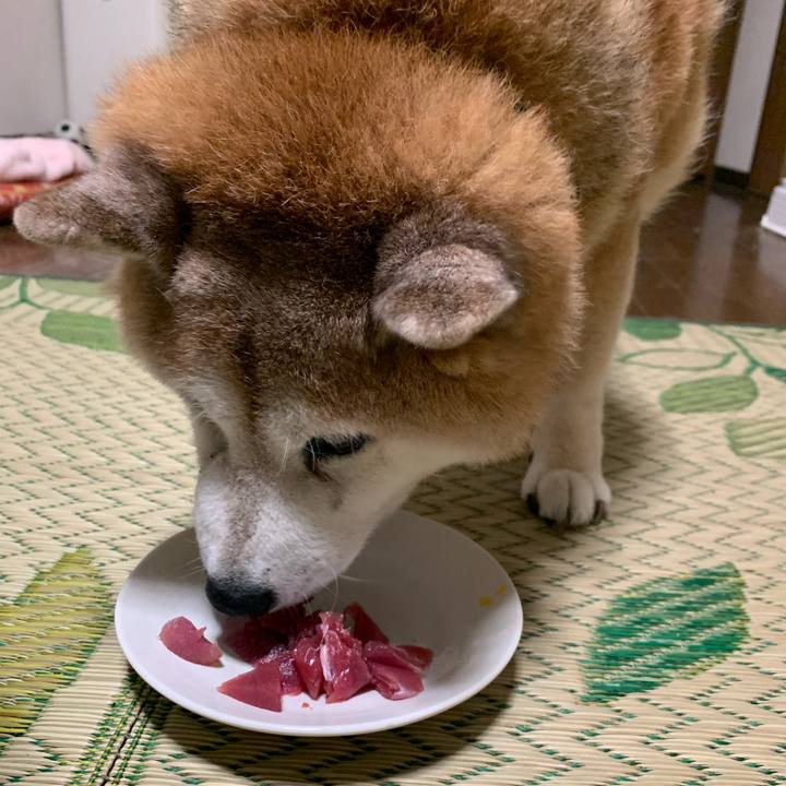 8aca6e50 e4c4 47f3 8687 501b0f8132dc 1627045990239