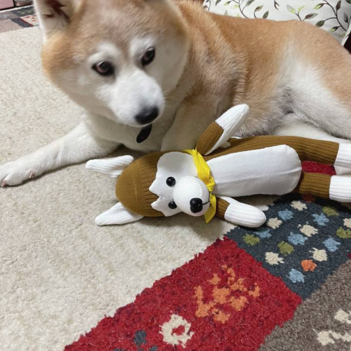 8aca8ed1 a481 4aa6 8781 fe3f5d660a76 1650370502669