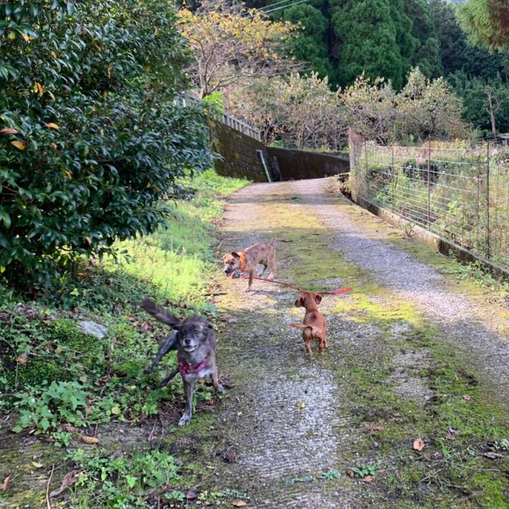 8acaa262 54a0 49d2 9c2e 72b4fff4ed7f 1572265964883