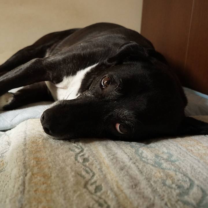 8acae5c1 8f74 4482 9d99 fa0ea680c0da 1756983336345