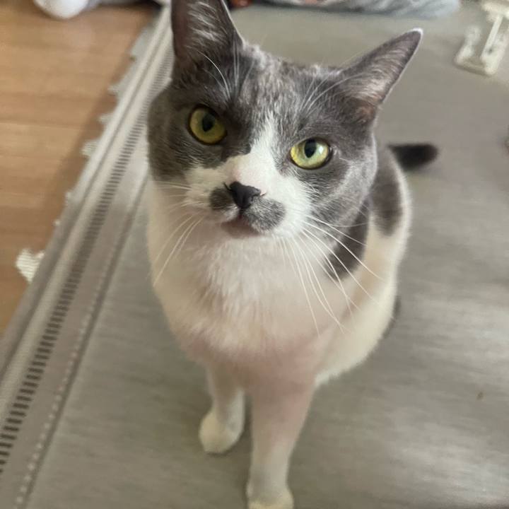 8acafd1c d260 4803 b726 65cd797a5743 1759034033837