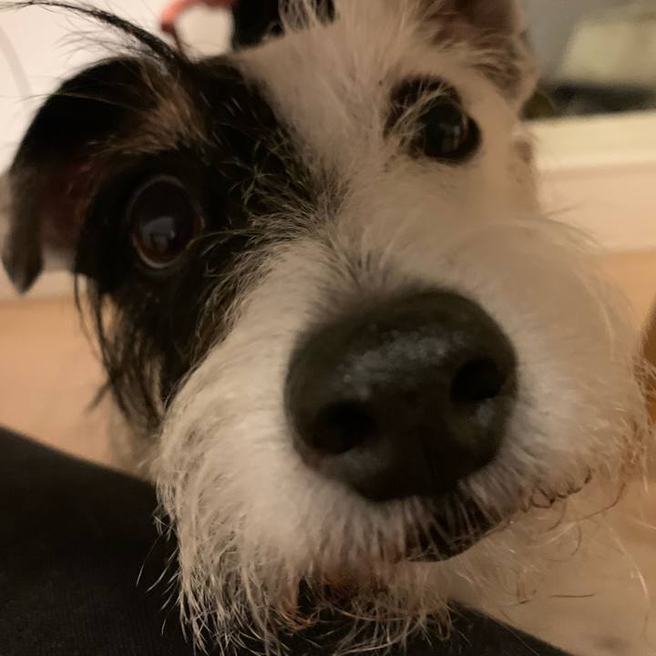 8acb0c04 d72a 4676 b3f9 6562ba83108c 1697799403282