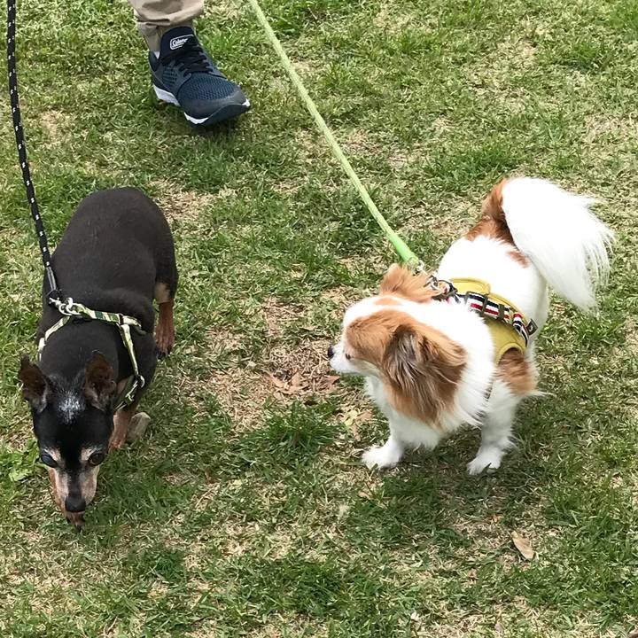 8acb1b16 7ed4 40b6 9942 93b8d6da5241 1556508872846