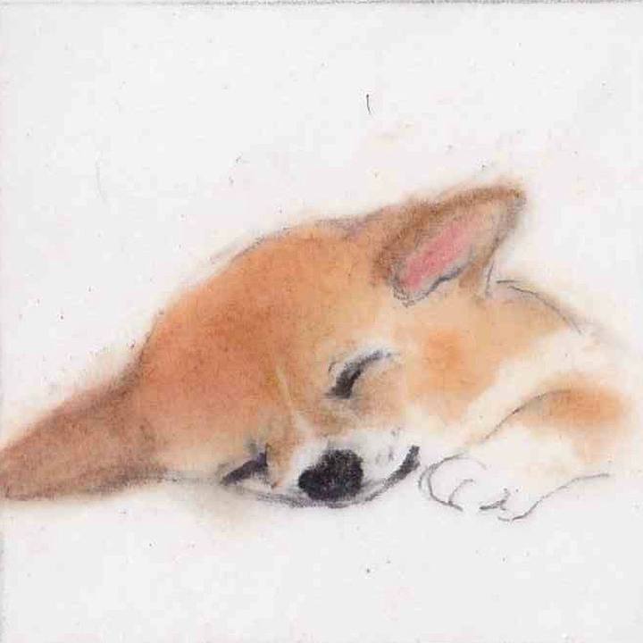 8acb2241 543f 4379 a2c9 ba986bd850cc 1662272826575