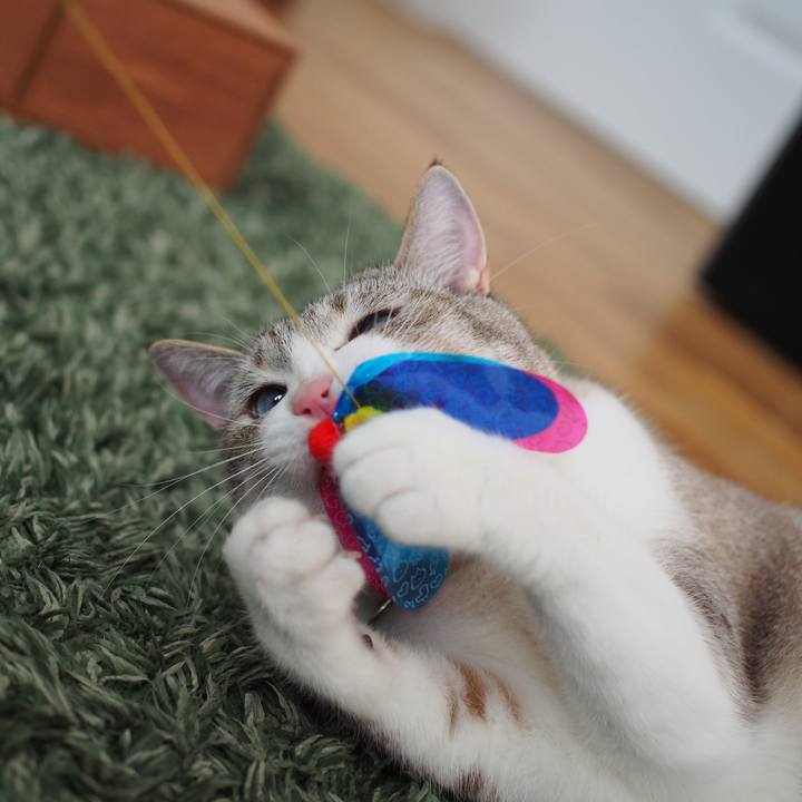 8acb27fd 727a 4c4c 8d05 da0628bff874 1592735442667