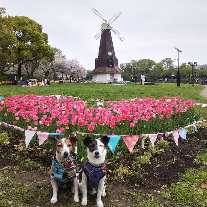 8acb297b c0ef 4682 808c 143d229b0fb2 1775365235187