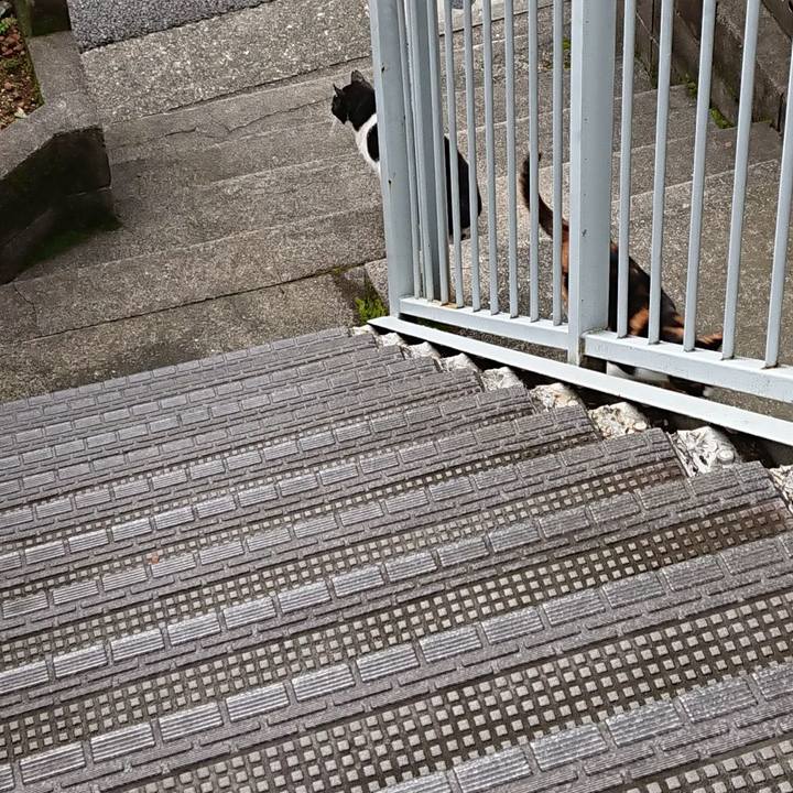 8acb299d 9863 4e37 afe3 84c5503d23de 1665279920373