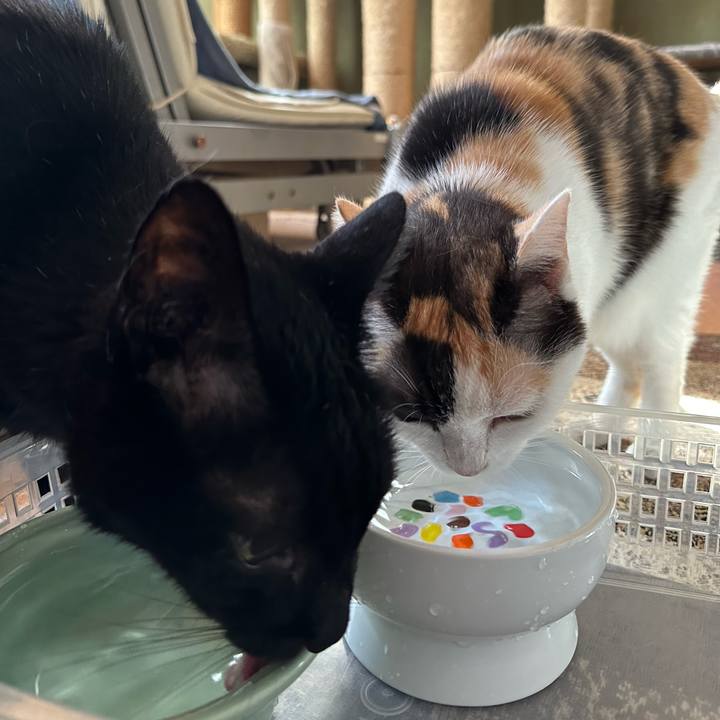 8acb8c81 a37c 4680 b436 825c97d8b99a 1696036095009