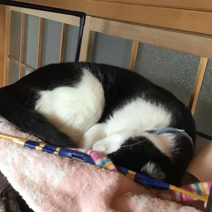 8acb97d4 8284 44cc bdd6 e8c726fe9247 1685270567860