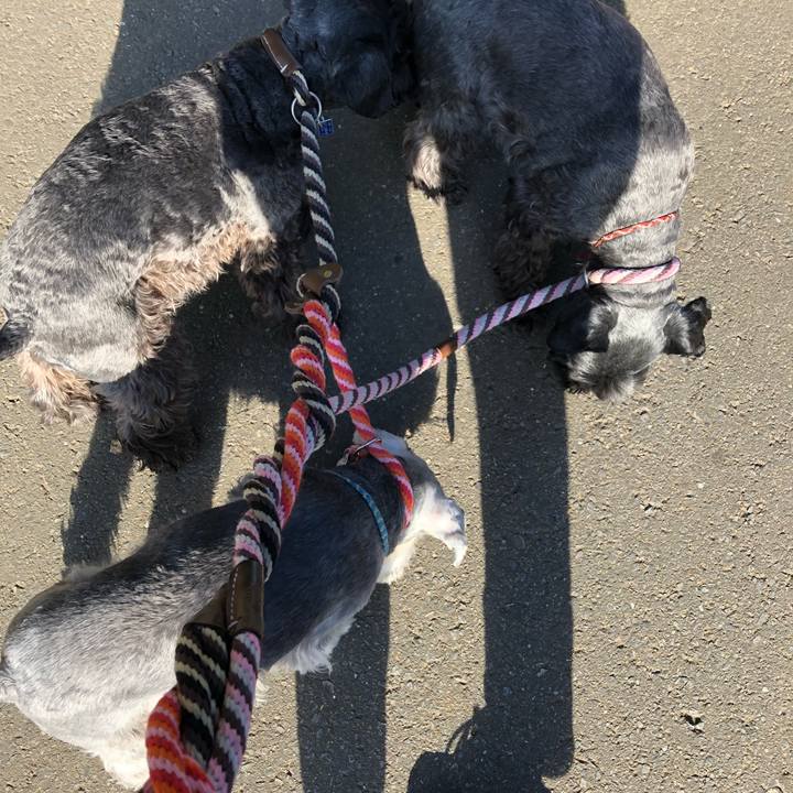 8acbc8f3 0439 4658 9253 61d8bfd5d361 1543626067976