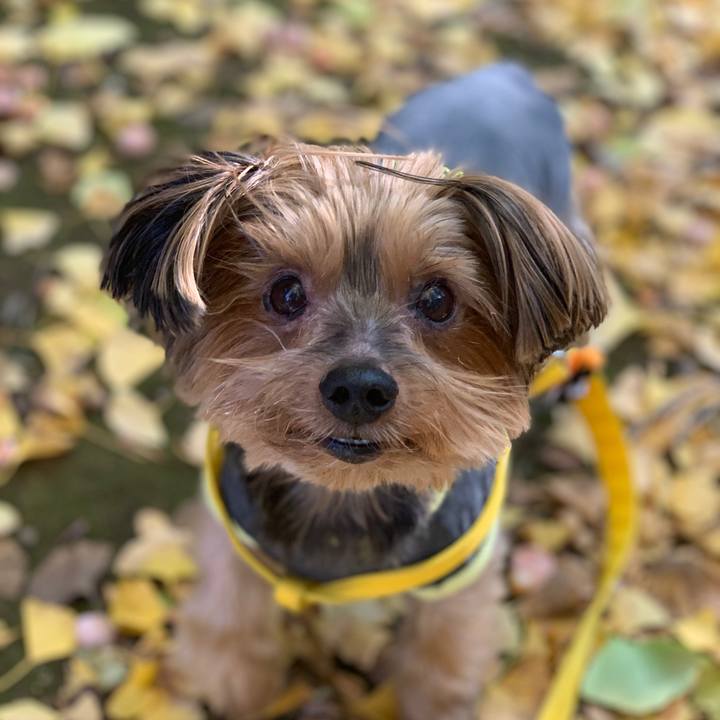 8acbd96b d375 4d9a a048 49ed7b9942b1 1605243923040