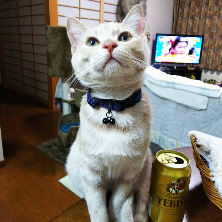 8acbda3a b2a7 4ec8 bf72 f2e9e74566ec 1544953795077