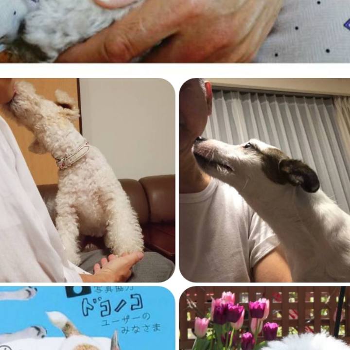 8acbf225 3aed 46d9 957d 0e1f7879551b 1556206237236