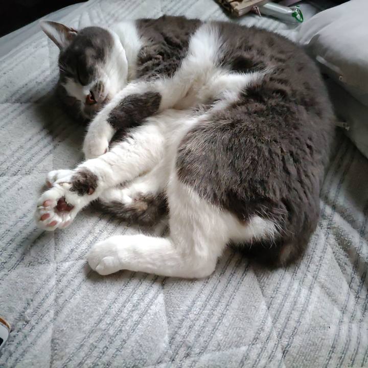 8acbfc6c 2f11 4ac4 b47c cf39446e661d 1719567998642