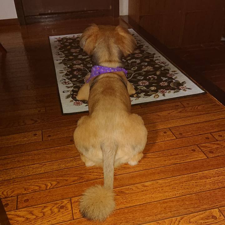 8acc001e 93db 4895 95fb 1994358de294 1571476378726