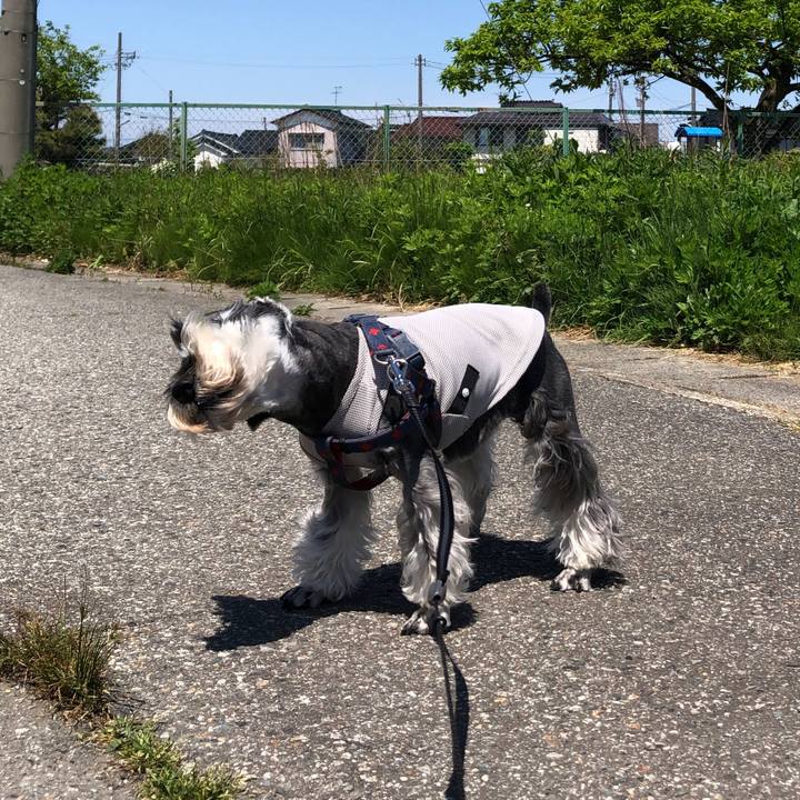 8acc323a 3085 4d45 81da c40c81f165f8 1651892322392