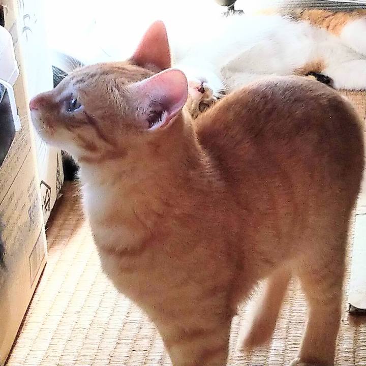 8acc5ae4 5390 4332 a708 25bd86fb0946 1611067742818