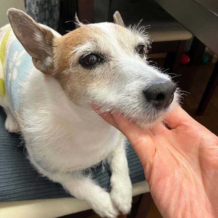 8acc5fcf 0e1b 415d a7cb 7700f280cb9c 1714689219705