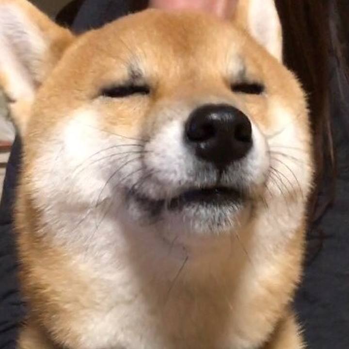 8accc24c 4a36 4d14 9826 19d494232e7d 1514376308464