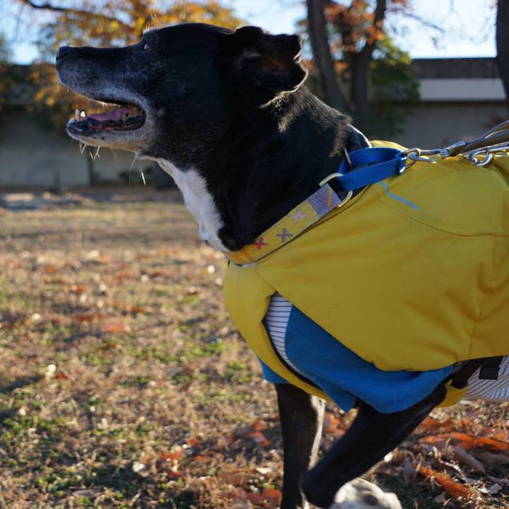 8acd049d e2a1 4836 a485 dce4dc9634e2 1765498403279