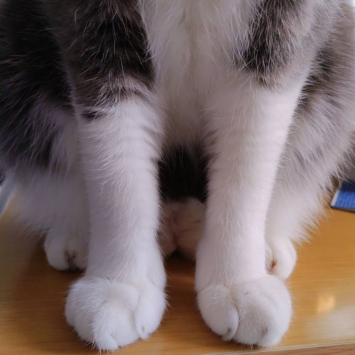 8acd0a39 4824 46f8 a052 bc7fc0786fec 1704519282242