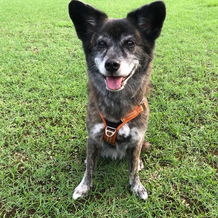 8acd11d3 a403 4eaa 9277 6b0d0ee02be8 1662280737335