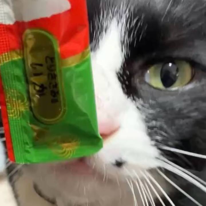 8acd196f bec5 44bd 8cf6 833d541a5caa 1740449038931