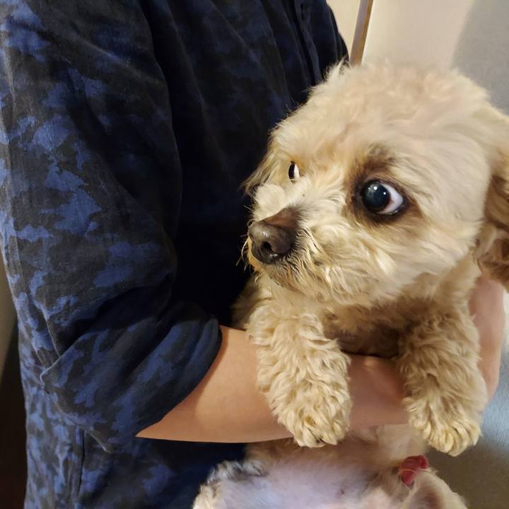 8acd5ce1 573c 43c6 a9b4 f8c043bf3980 1621769255112