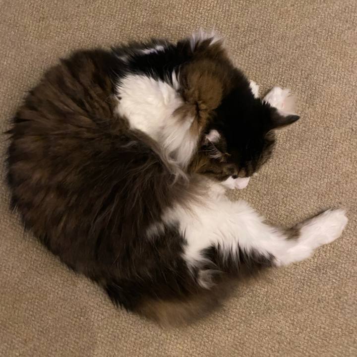 8acd63e8 8b05 48ab bd5d dfb0042db4b6 1690682571148