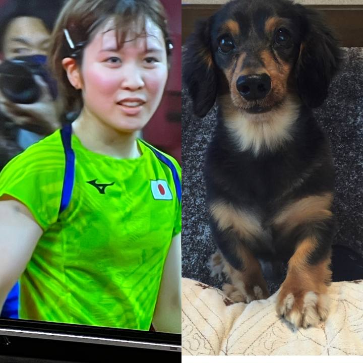 8acd8eaf 071c 42a2 bcb2 5db444b69d41 1627993275087