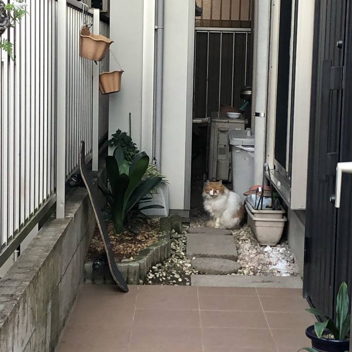 8acd9b6c 84ef 4723 80c5 a7ff01bc17c6 1607438486724