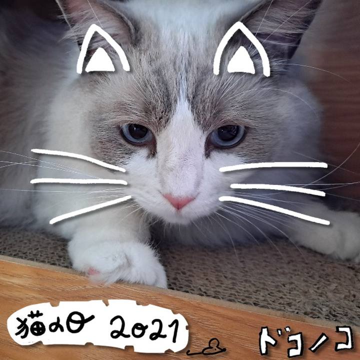 8ace11fa f0a9 433c 94f2 6eb1976ded11 1613960697946