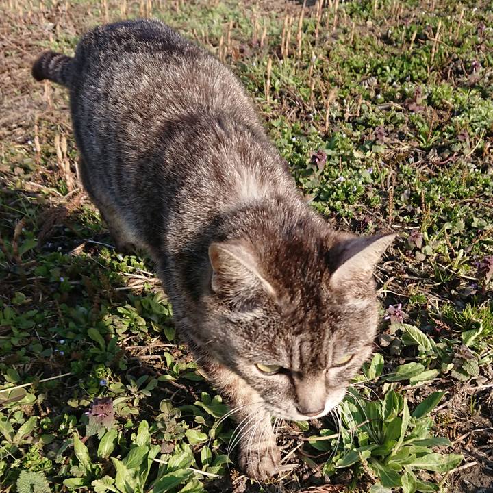 8ace14e2 e39b 42b2 8d1b dfcd1f675bb9 1554620215249