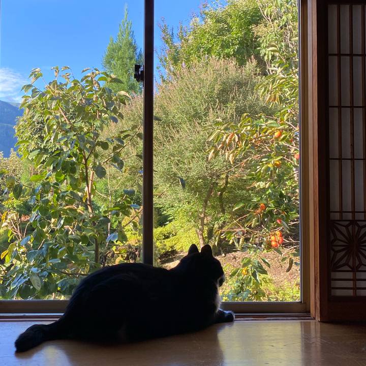 8ace32cf acc8 4fea 970f 6e3c646b04c6 1664080566161