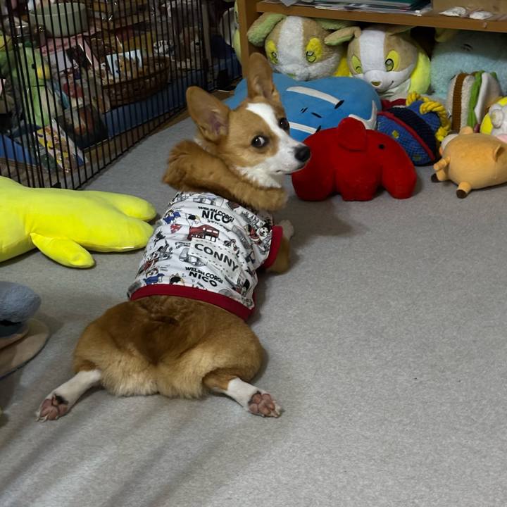 8ace4191 9e5c 458b ac43 23b6eb23ab43 1760868306549