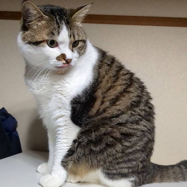 8ace53de 4db6 4cb0 96e8 6dc452fed7dc 1750246276814